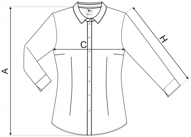 Ženska bluza z dolgimi rokavi - tabela dimenzij